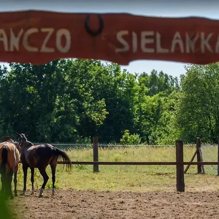 Ranczo & Ranczo Sielanka * Drazniew