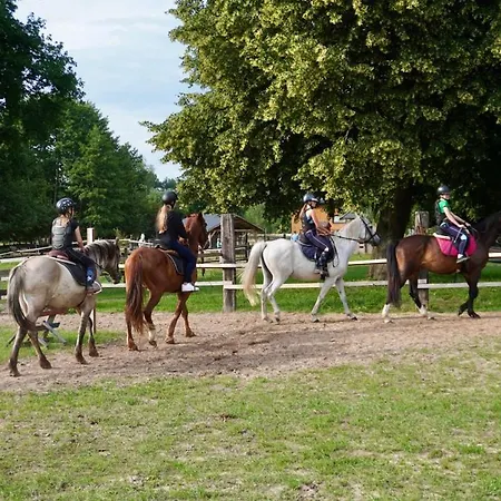 Ranczo & Ranczo Sielanka * Drazniew