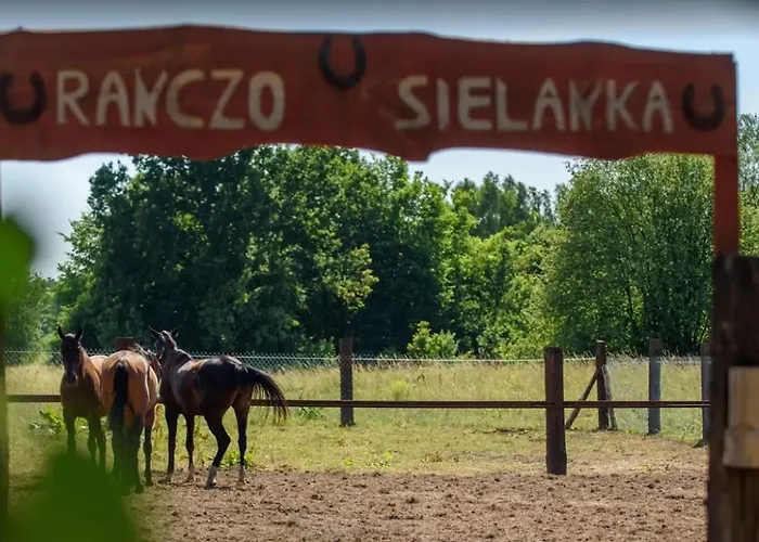 Ranczo & Ranczo Sielanka * Drazniew